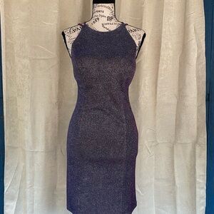 Dear Moon Elegant Purple Silver Shimmer Sleeveless Dress